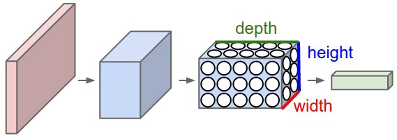 ../../_images/convolutional-neural-network-architecture.jpg