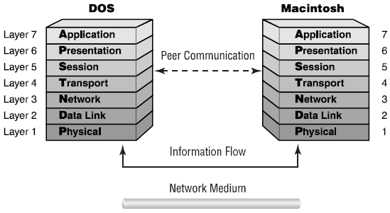 ../../_images/osi-model.png